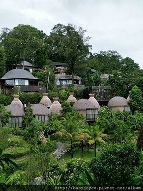 IMG20180618100408.jpg