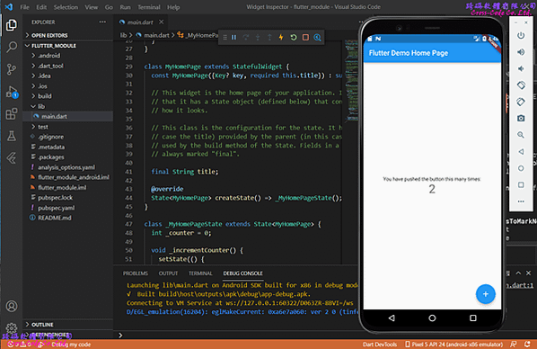 flutter_run_app