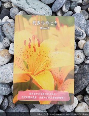 提振你的心念.jpg