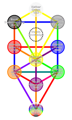 800px-TreeOfLife.svg