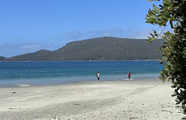 【🇦🇺澳洲-塔斯馬尼亞】布魯尼島一日遊