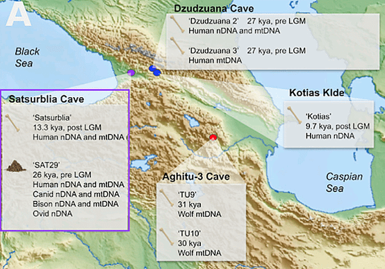 喬治亞2.5萬年前泥土，人、狼、牛的古代DNA