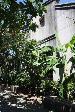 IMG_8244.JPG