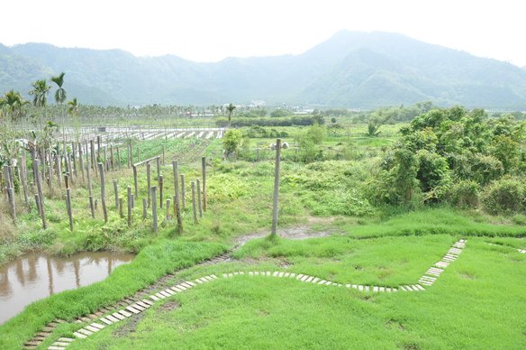 南投魚池之旅遊景點-頭社泥炭土活盆地