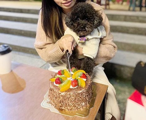 毛小孩鮮食