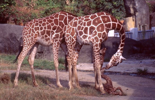 35.jpg