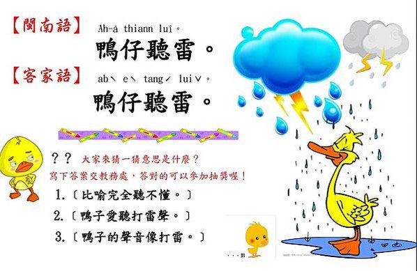 鴨子聽雷/鴨子避雨/鴨仔聽雷指鴨子聽到雷聲，並不知道是怎麼回
