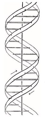 DNA.jpg