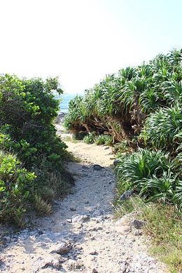 IMG_3233.JPG