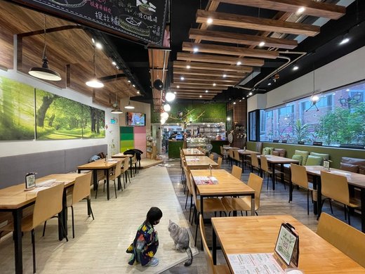 🍴【台中西屯】森林小徑(大墩店) ▎/親子/寵物友善