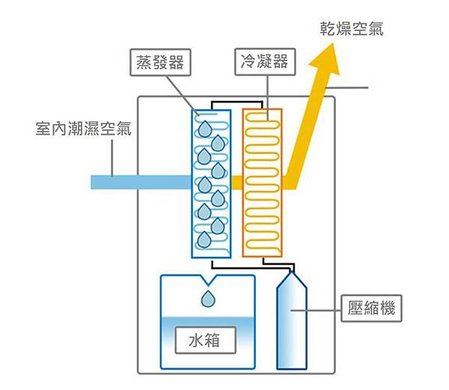 壓縮機式除溼機_學習是我的咖啡因