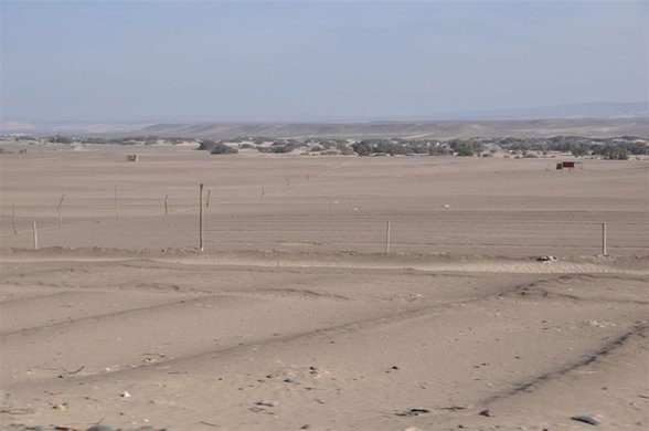 DSC_0176.JPG