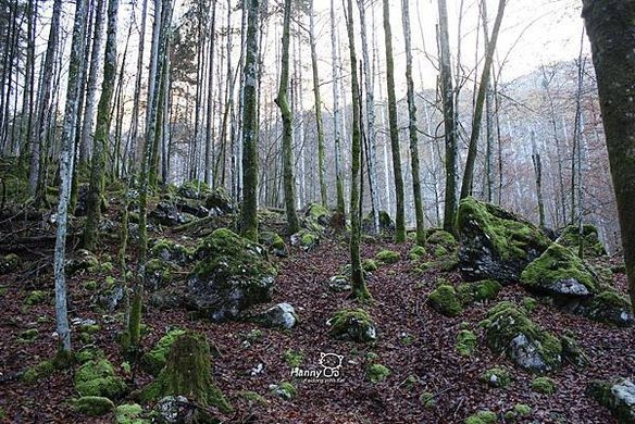 2013 1031-1101  Königssee