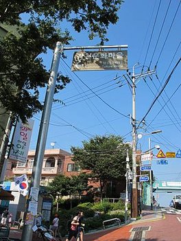 IMG_3339