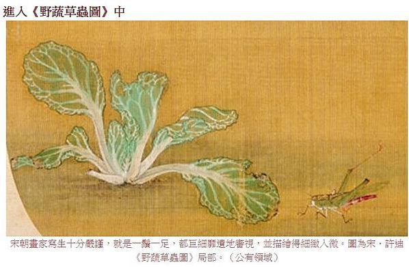 清宮之寶 古典寫生畫《野蔬草蟲圖》《野蔬草蟲圖》就是以小白菜