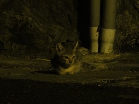 DSC03764.JPG