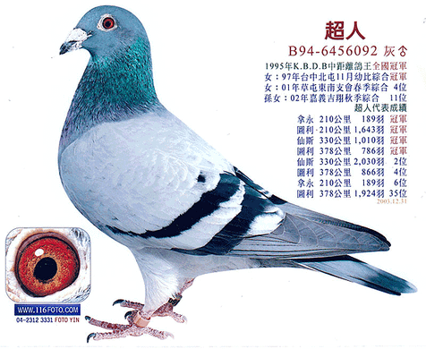 超人軍團