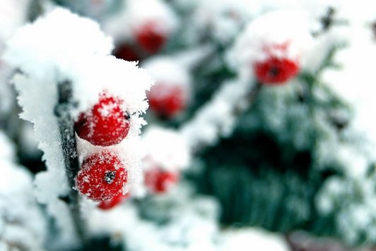 winter-wallpaper-14.jpg