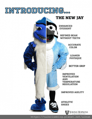 blue_jay_mascot_1.png