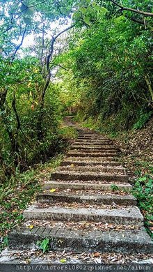 IMAG0672.jpg