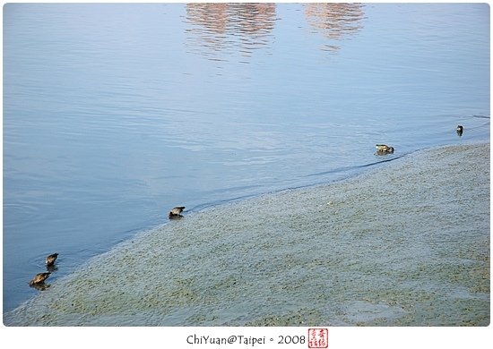 延平河濱公園