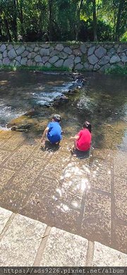 【苗栗景點】~  最可愛的景點貓裏喵親子公園特色公園 八爪章