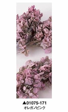 大地農園01075-171_繡球花哪裡買_繡球花介紹_永生花專賣_永生花推薦_愛意花坊-2022.jpg