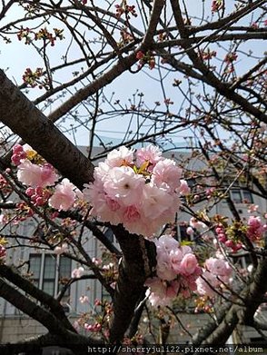 IMG20180401130804.jpg