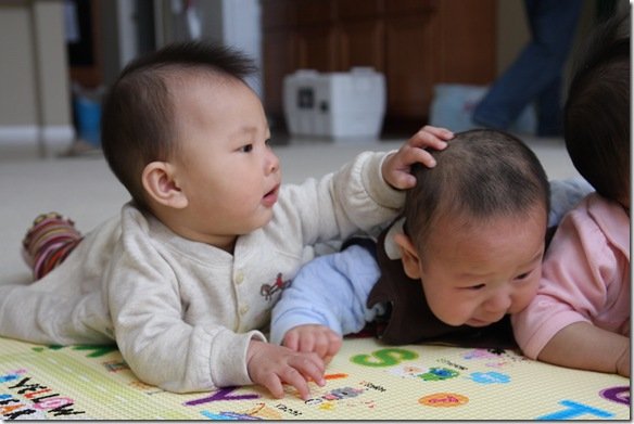 BabyFriends 276