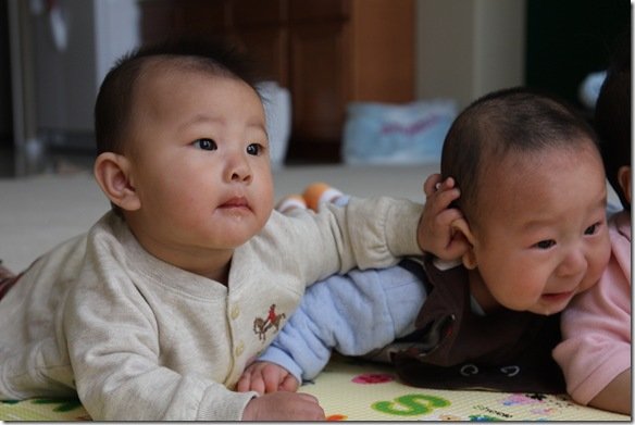 BabyFriends 282