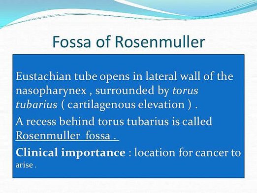 cancer-of-the-nasopharynx-11-728.jpg