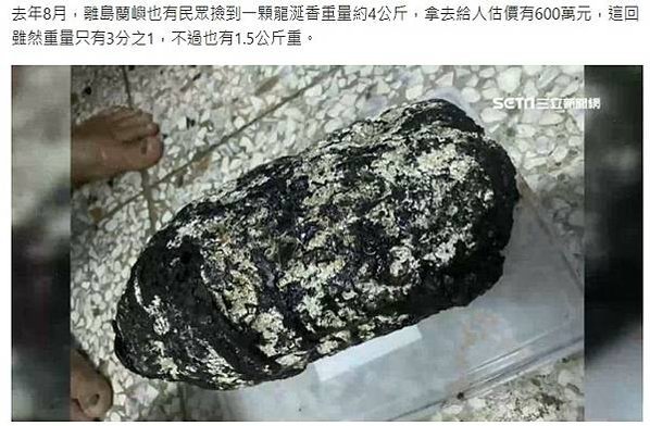 蘭嶼有民眾撿到一顆龍涎香重量約4公斤，拿去給人估價有600萬