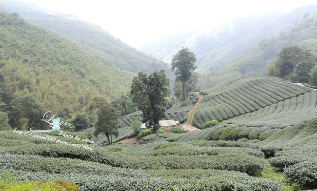 沿途風景