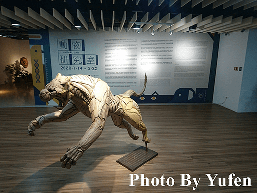 [國內旅遊] 新竹市 241藝術空間 動物實驗室