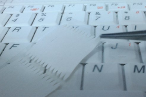 IMAG0128.jpg