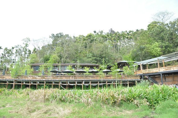 南投魚池之旅遊景點-頭社泥炭土活盆地