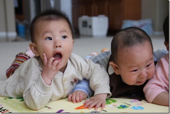 BabyFriends 277