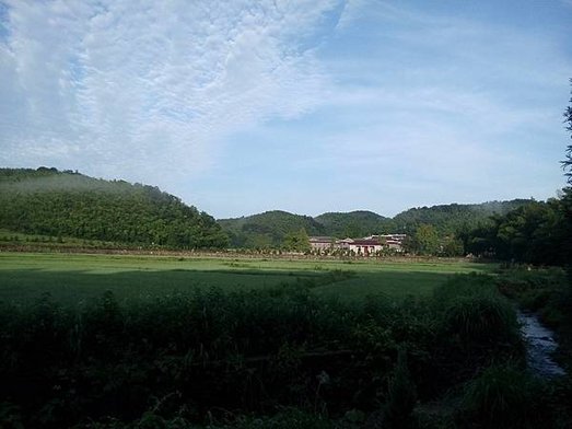 文萃 第 19 期 【信而有徵】雲居山真如禪寺見聞啟示 (1).jpg