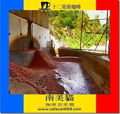 簡報1