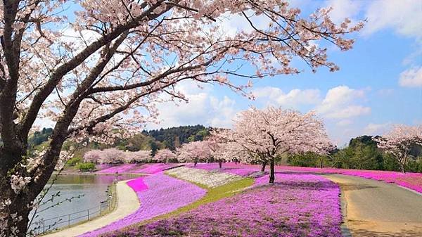 東京德國村