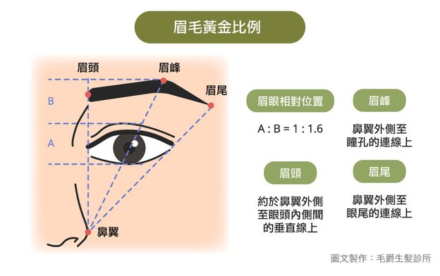 眉毛黃金比例