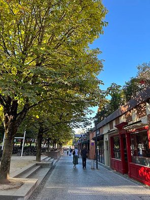 法國南部紅城阿爾比 (Albi)：列為世界遺產的主教城市和華