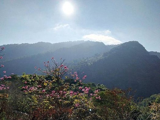 中途景色2