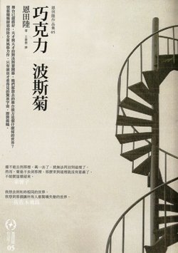 巧克力波斯菊