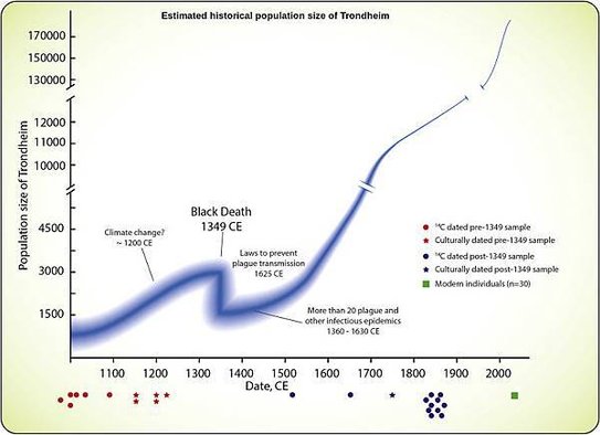 受到黑死病摧殘的挪威城市，失去不列顛血緣