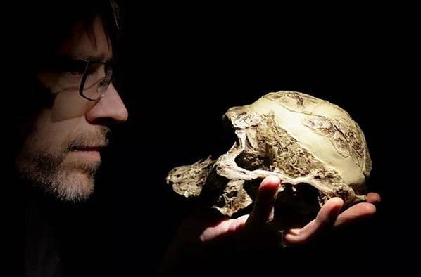 納萊迪人Homo naledi已經滅絕的人科物種「埋葬遺體」