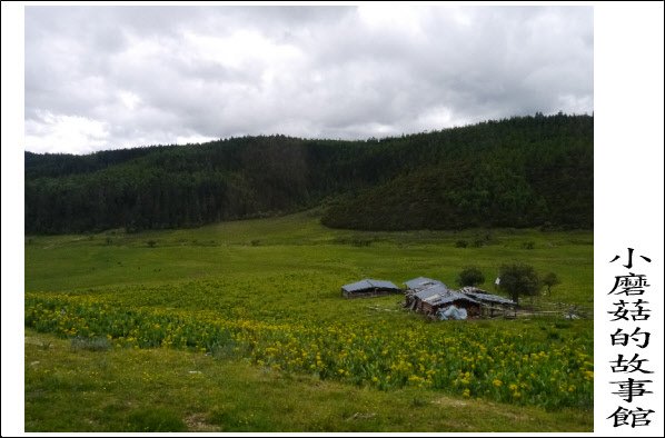 高原牧場102.8.5.(5).JPG