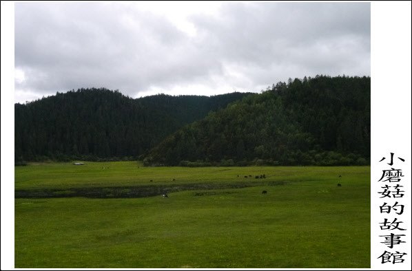 高原牧場102.8.5.(21).JPG