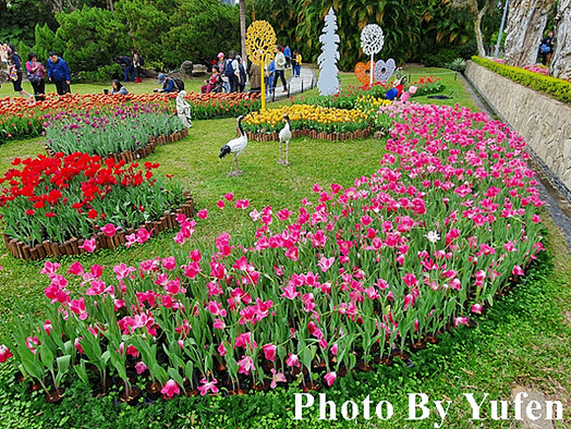 鬱見你真好 &amp; 春節花卉展 &amp; 雙溪公園