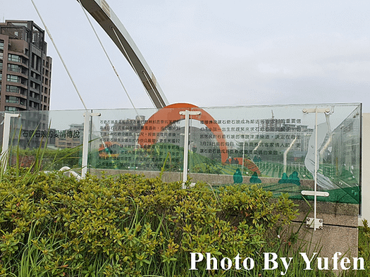 古亭河濱公園 蜀葵之森